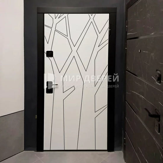 Фото двери № 520